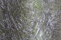 Ford fibreglass roof work